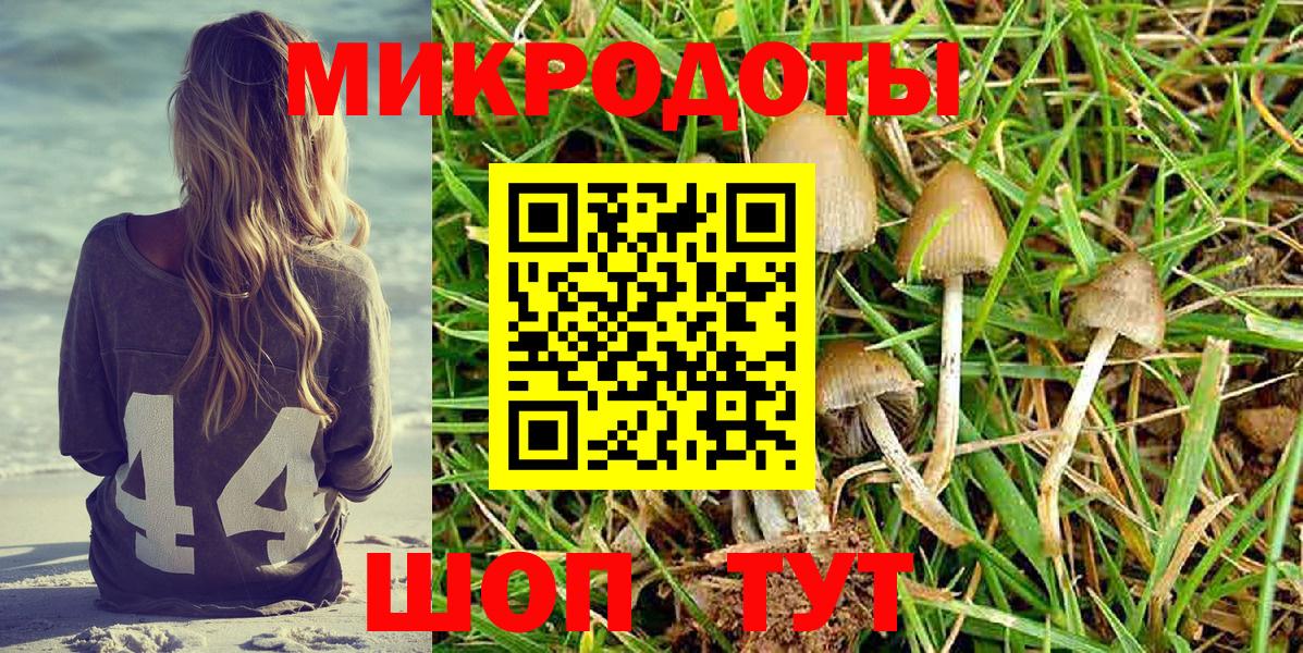 Галлюциногенные грибы Psilocybine cubensis  Вход с VPN  Галлюциногенные грибы Cubensis  Саранск 